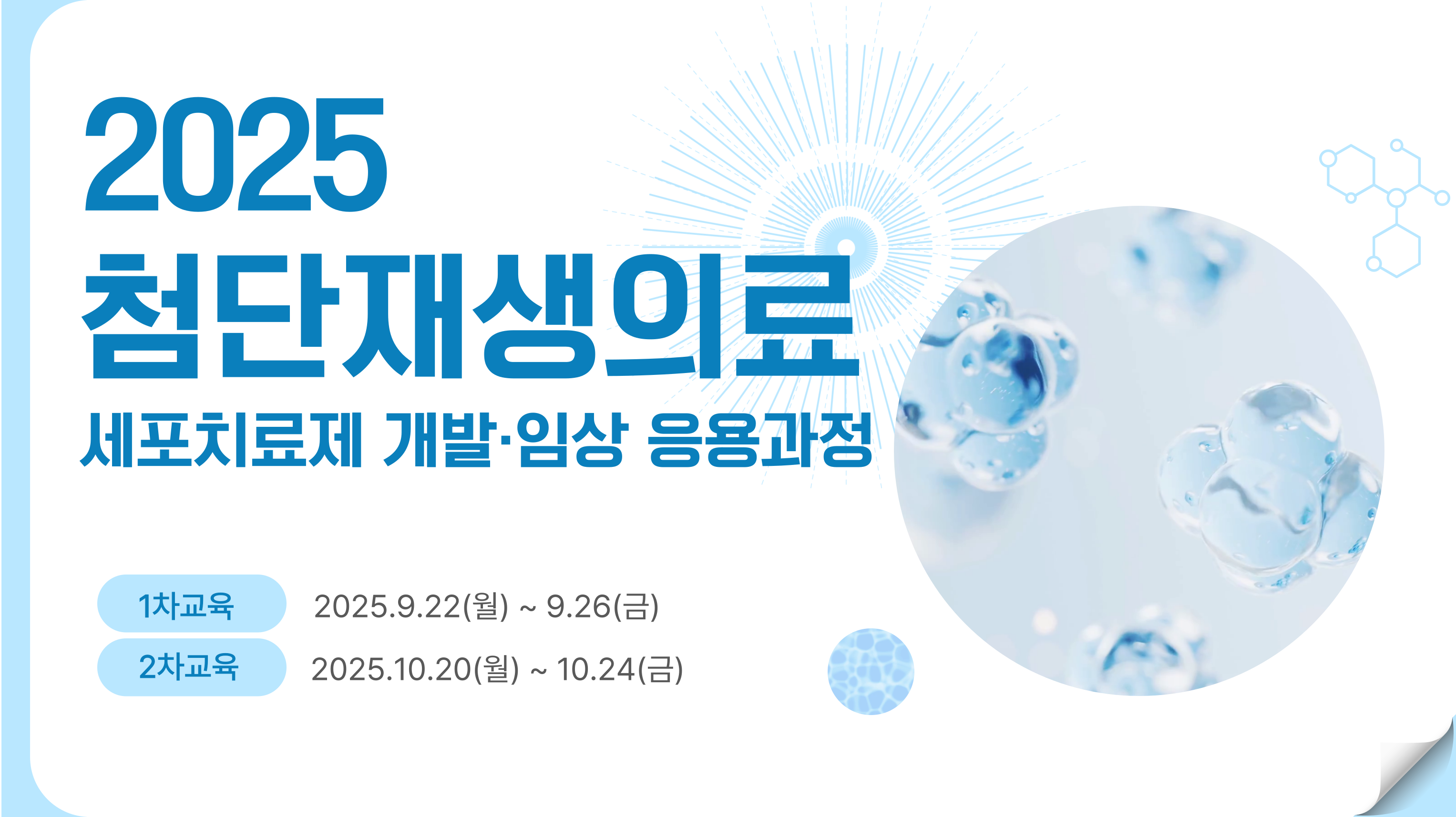 첨단재생의료 세포치료제 개발·임상 응용과정